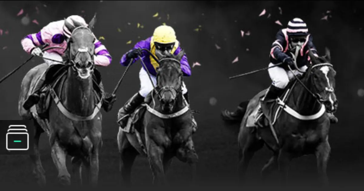 浙江全省同,国足世预赛,杭州开赛,世界杯外围,世界杯投注,2026世界杯,赔率分析,赛事预测